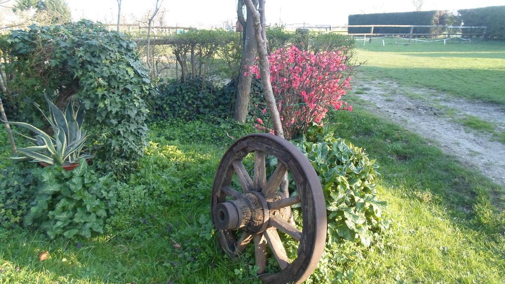 Agriturismo Loghino Caselle San Giorgio di Mantova Exteriör bild